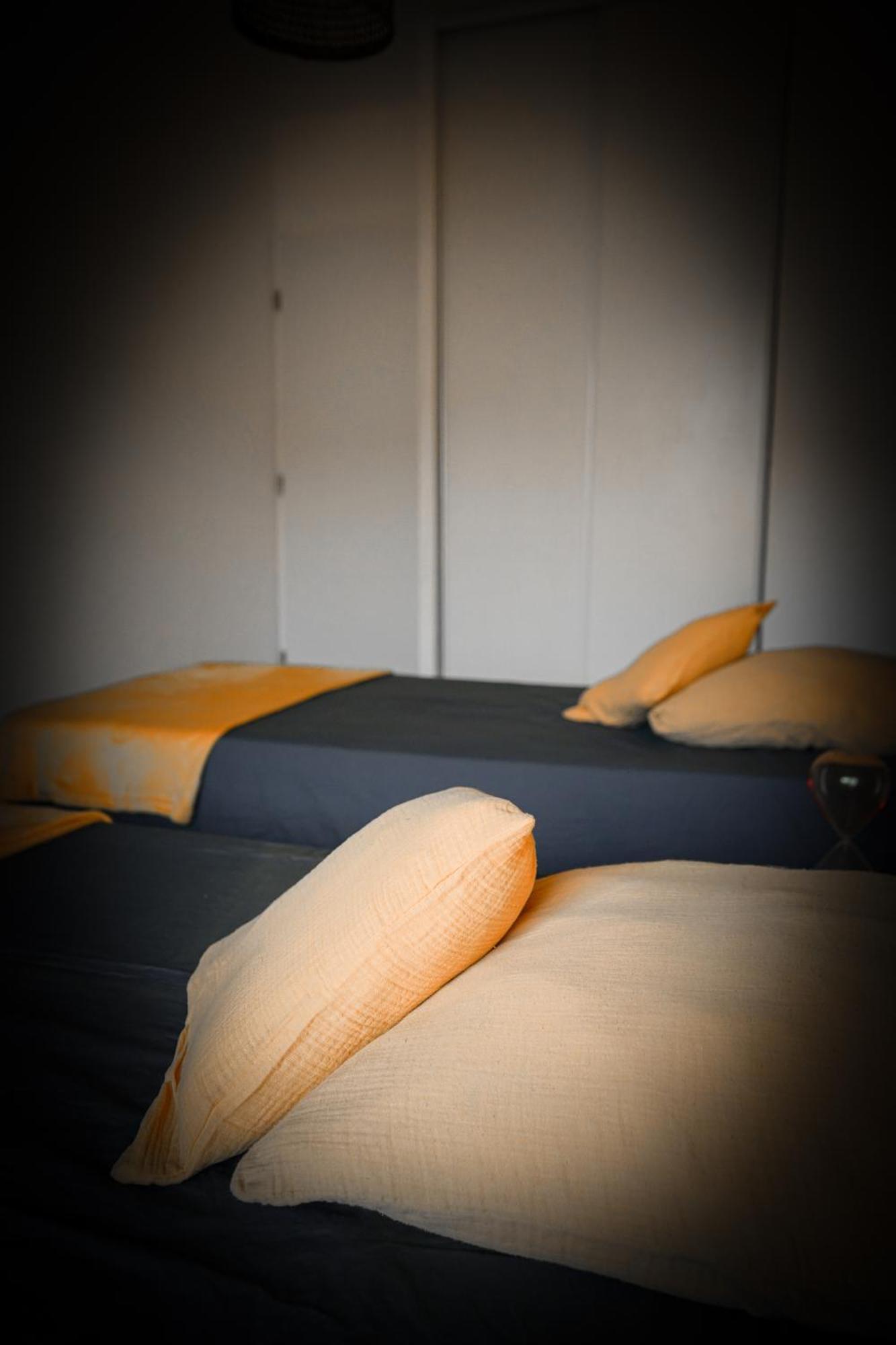 Bel Appartement Climatise & Parking Perpignan Eksteriør bilde